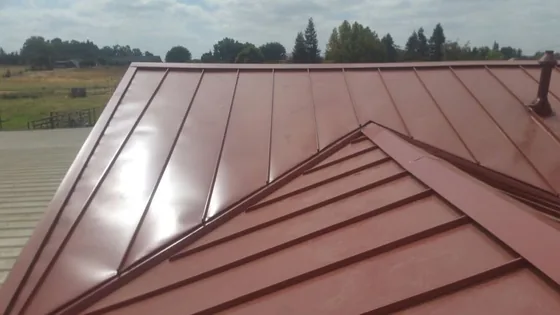 Techo de metal de costura vertical instalado por NuShake Roofing